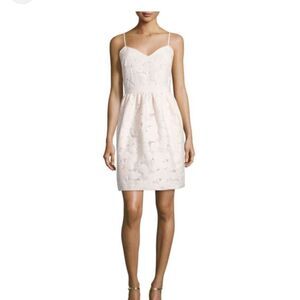 Ted Baker London MiniDress Pink Blush Lace Pockets Sleeveless Fit Flare Sz 2 S/M